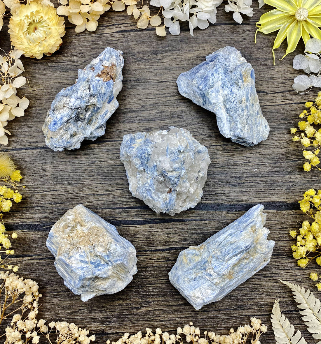 Blue Kyanite Rough $20