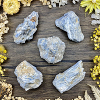 Blue Kyanite Rough $20