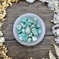 Amazonite Tumbled Stone