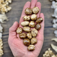 Aragonite Tumbled Stone