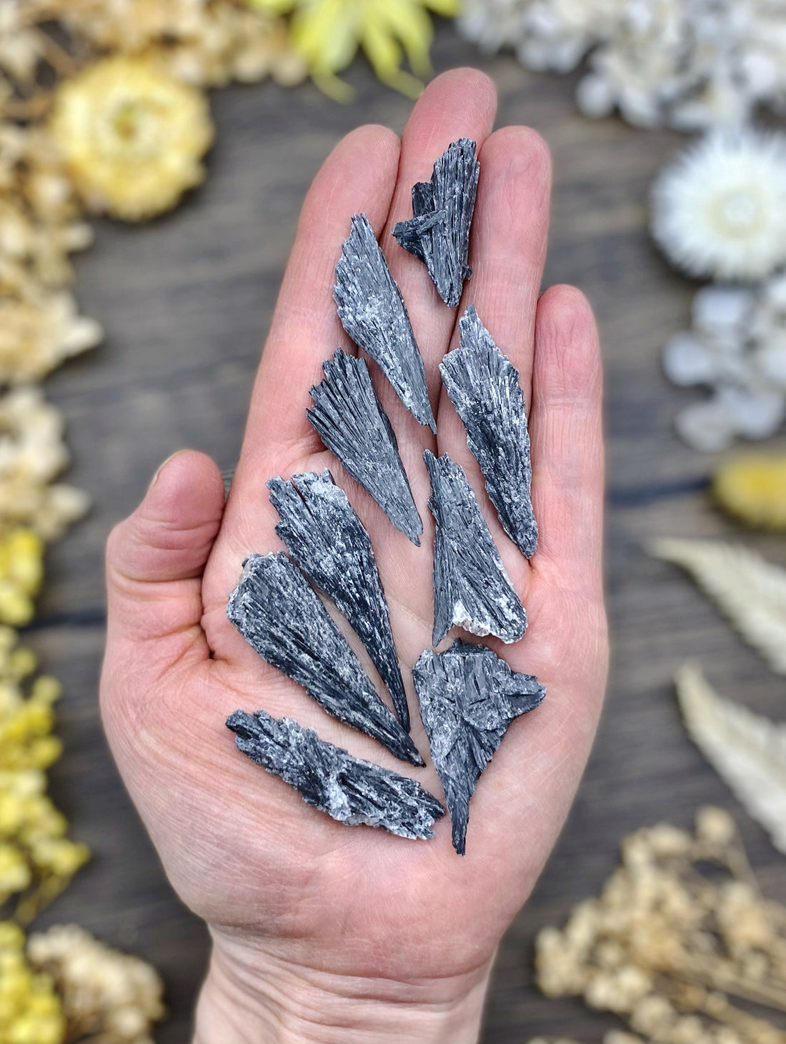 Black Kyanite Small