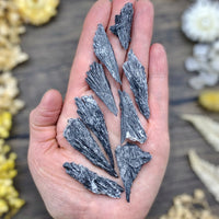 Black Kyanite Small