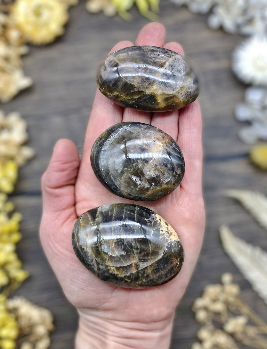Black Moonstone Palm Stone