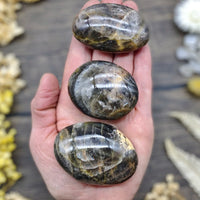 Black Moonstone Palm Stone