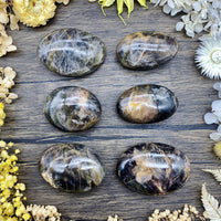 Black Moonstone Palm Stone