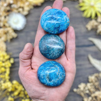 Blue Apatite Palm Stone Large