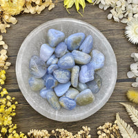 Blue Lace Agate Tumbled Stone