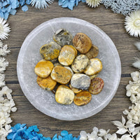 Crazy Lace Agate Mini Medallion