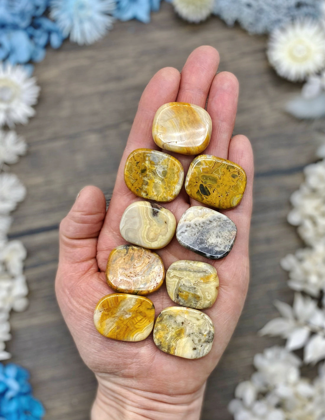 Crazy Lace Agate Mini Medallion