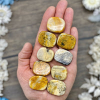 Crazy Lace Agate Mini Medallion