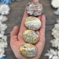 Crazy Lace Agate Pillow