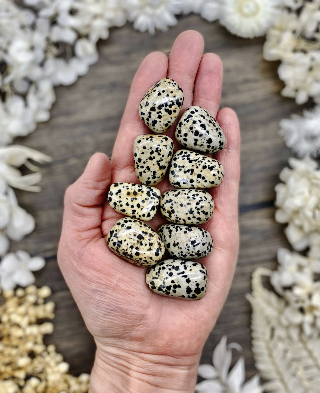 Dalmatian Jasper Tumbled Stone