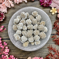 Desert Rose Mini