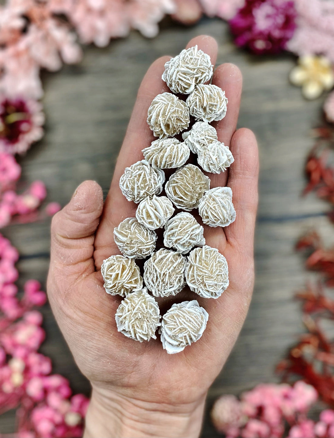 Desert Rose Mini