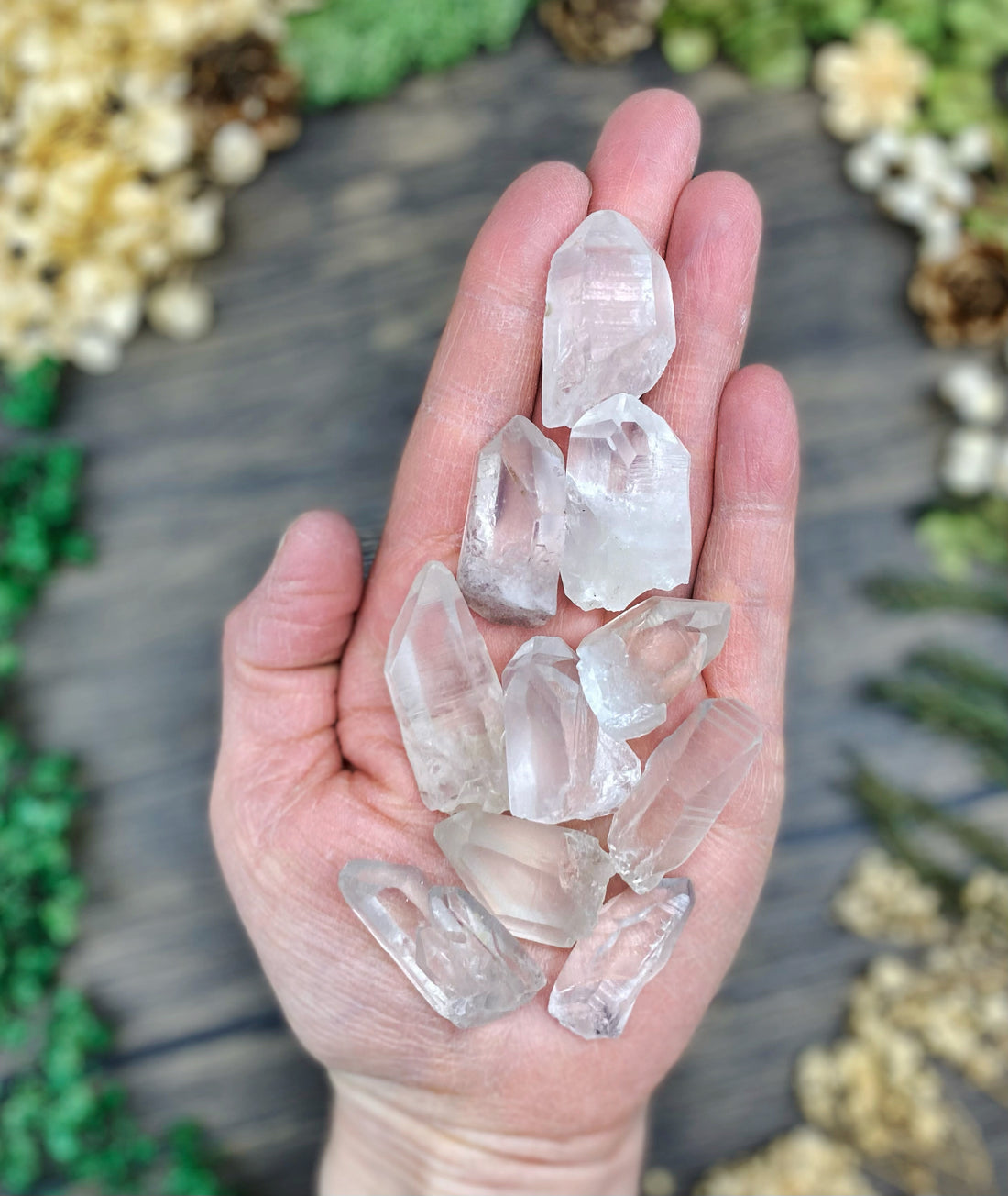 Lemurian Point Small