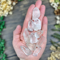 Lemurian Point Small