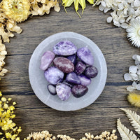 Lepidolite Tumbled Stone