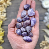 Lepidolite Tumbled Stone