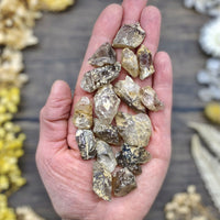 Smokey Quartz Raw Tahoe Local