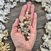 Moonstone Tumbled Stone X-Small