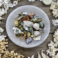 Ocean Jasper Tumbled Stone