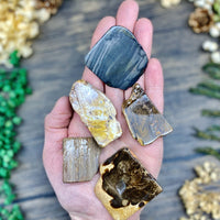 Petrified Wood Polished Slab