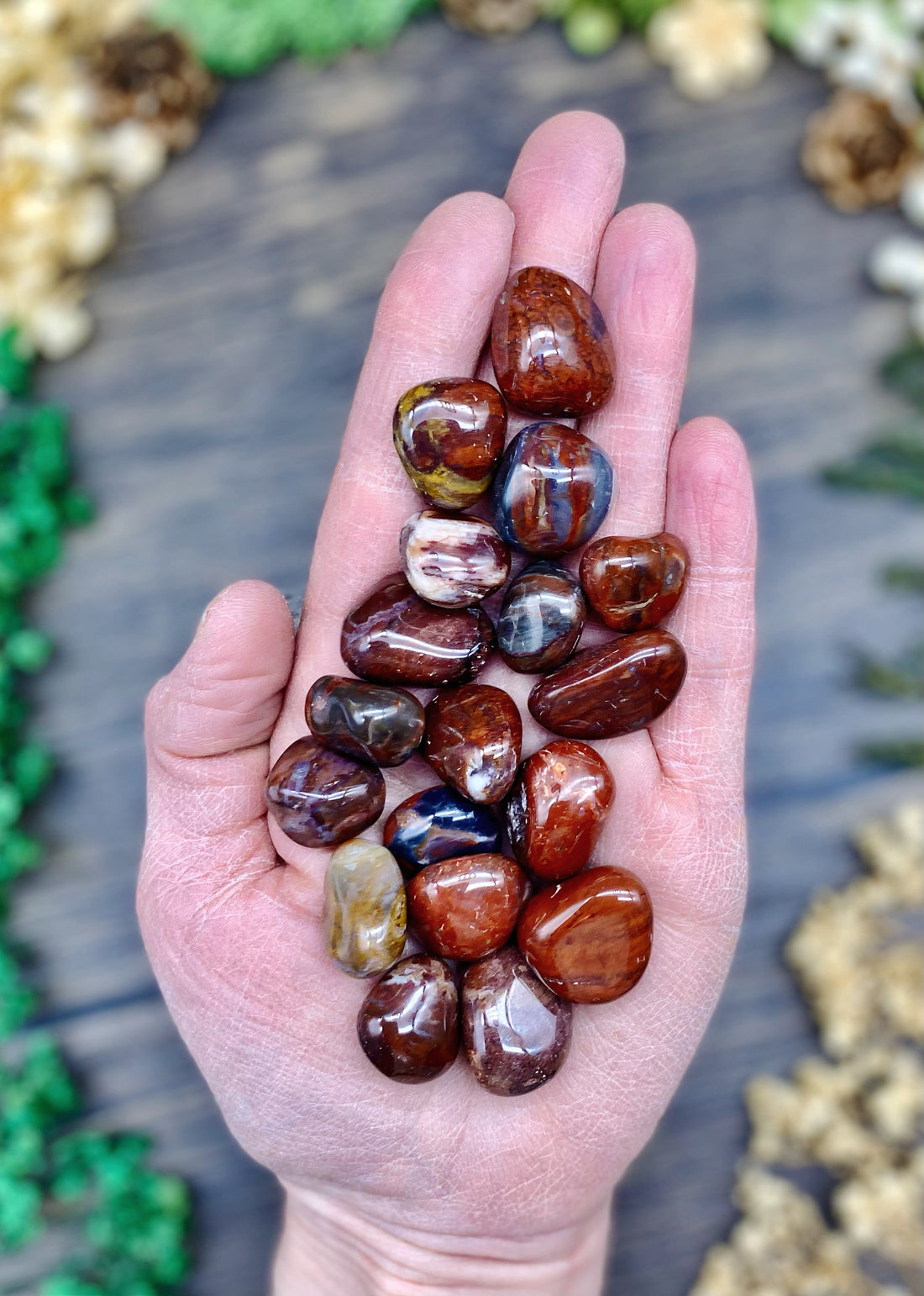 Petrified Wood Tumbled Stone