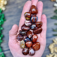 Petrified Wood Tumbled Stone