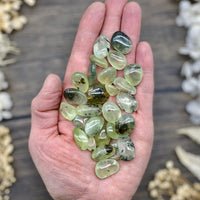 Prehnite Tumbled Stone