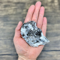 Rainbow Moonstone Rough $25