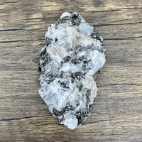 Rainbow Moonstone Rough $40