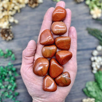 Red Jasper Tumbled Large
