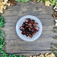 Red Tigers Eye Tumbled Stone Small