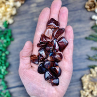 Red Tigers Eye Tumbled Stone Small