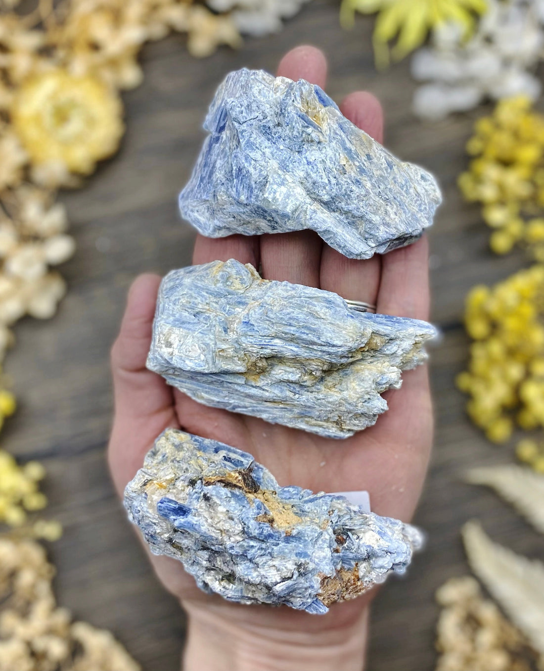 Blue Kyanite Rough $20