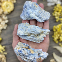 Blue Kyanite Rough $20