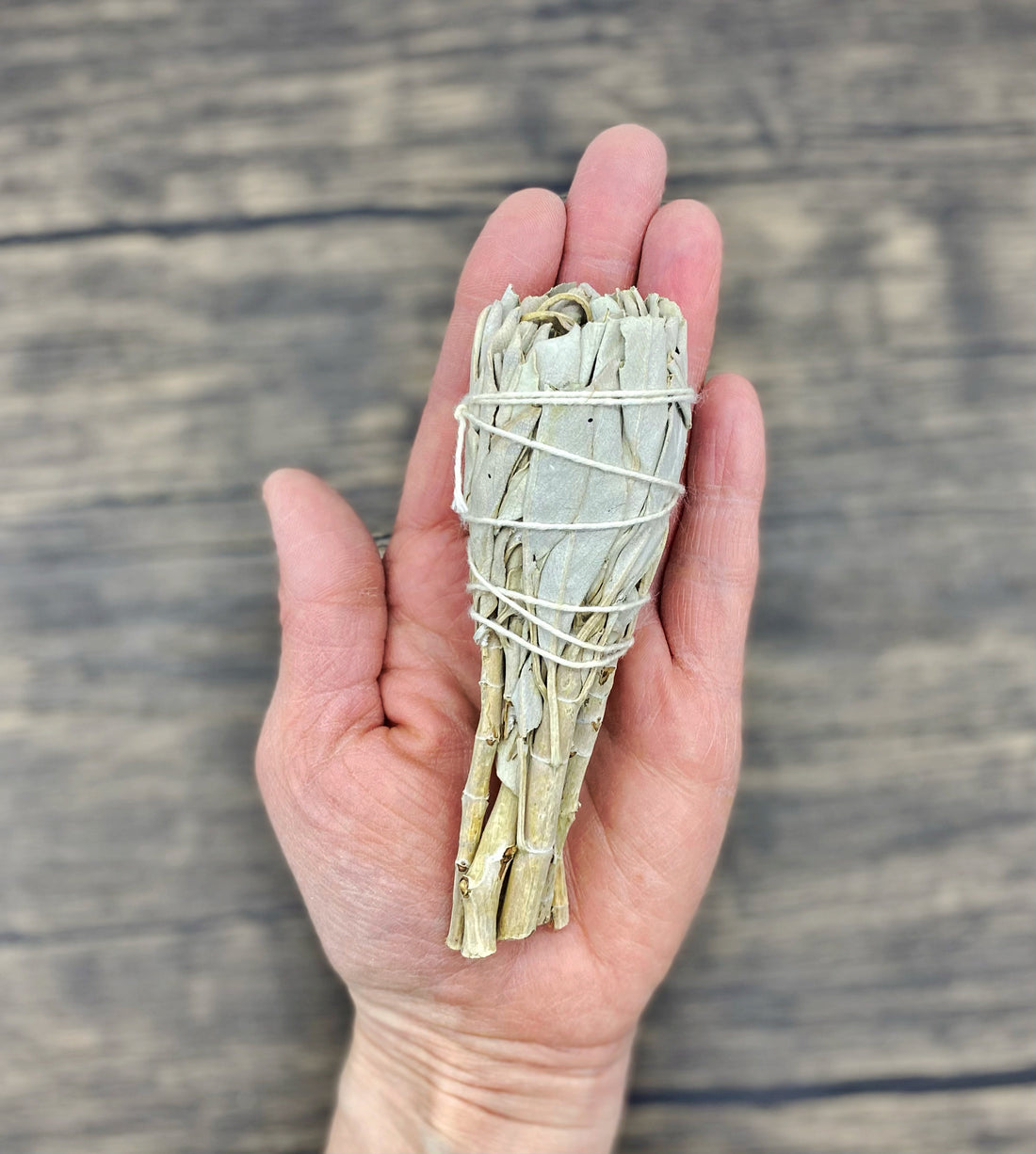 White sage mini bundle 4"
