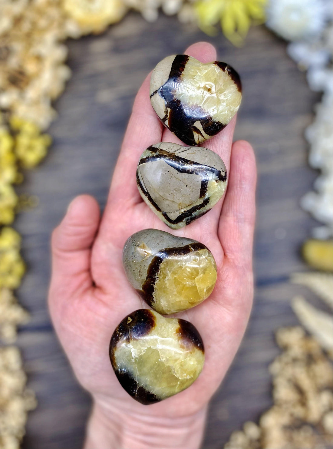 Septarian Heart