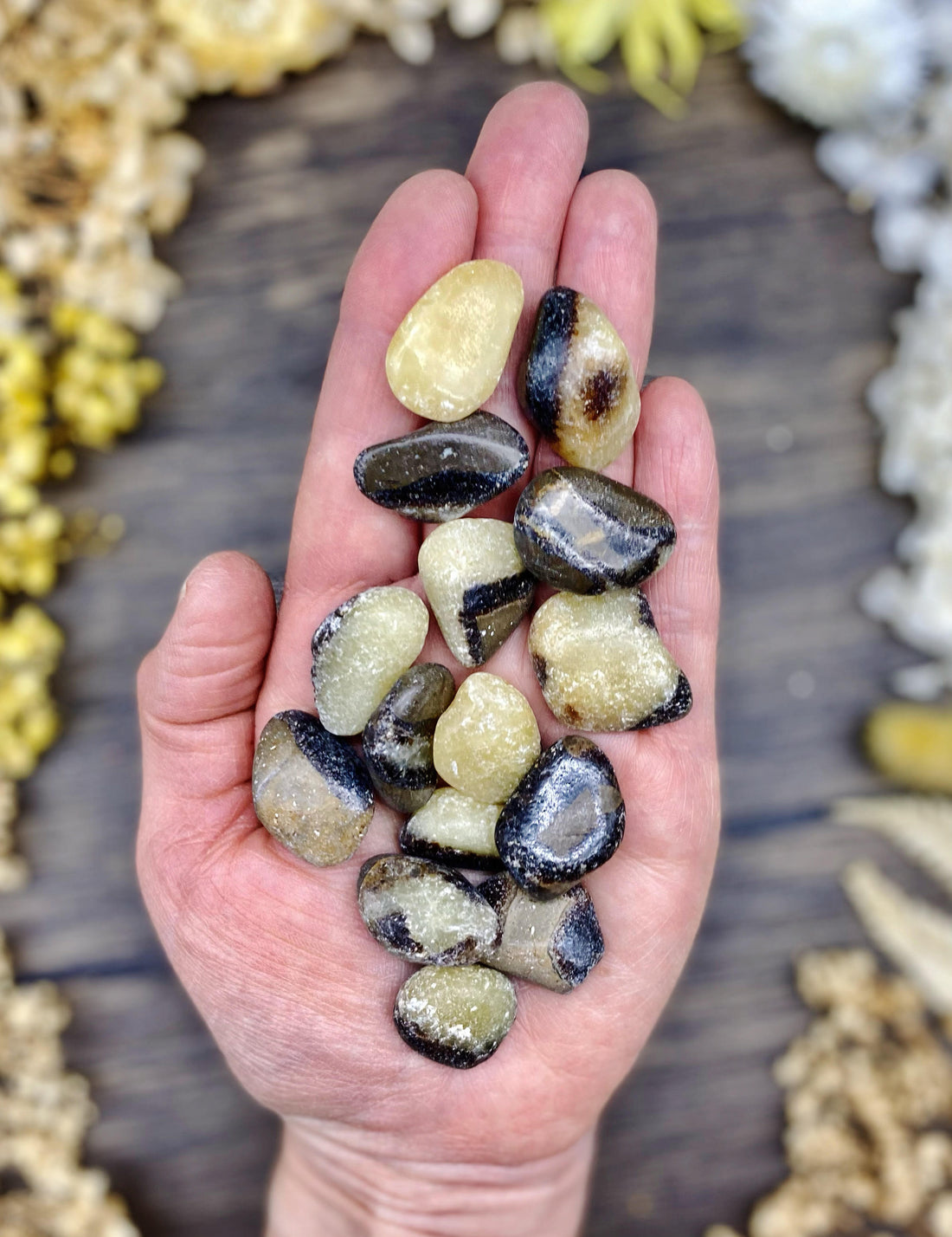 Septarian Tumbled Stone