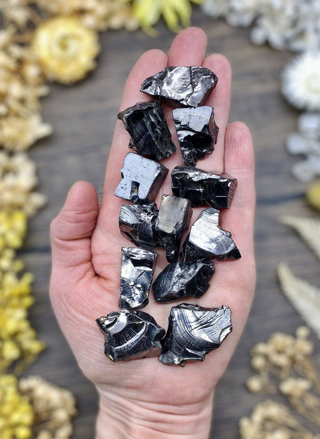Shungite Elite