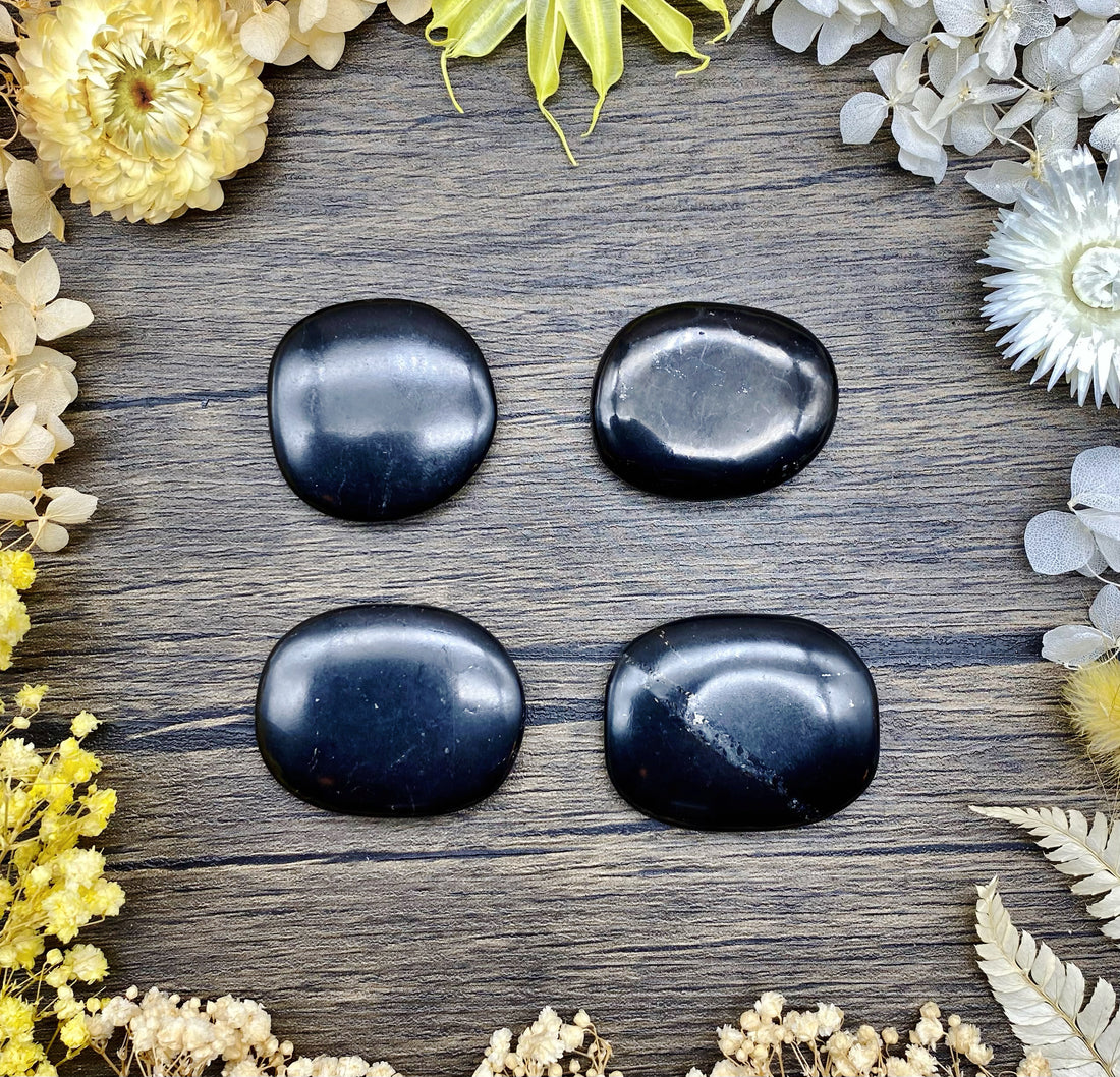 Shungite Medallion