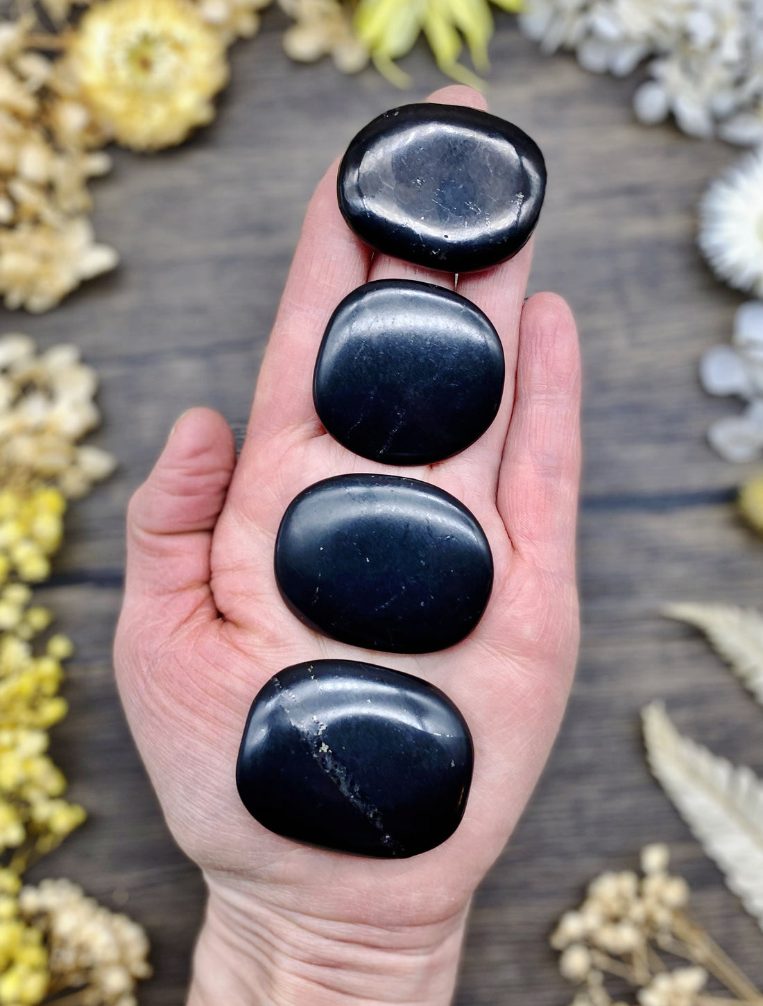 Shungite Medallion