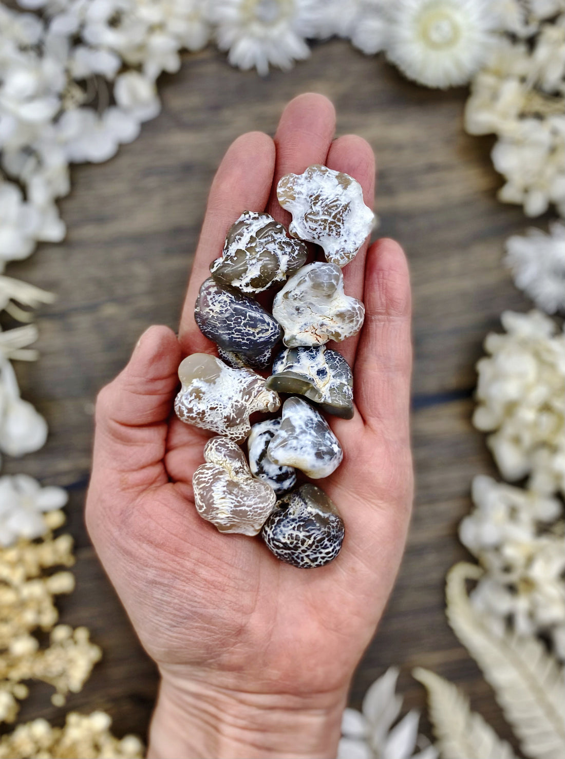 Snakeskin Agate Tumbled Stone