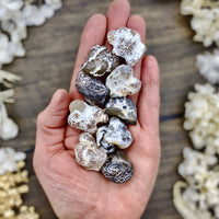 Snakeskin Agate Tumbled Stone