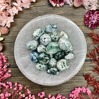 Tree Agate Tumbled