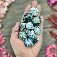 Tree Agate Tumbled