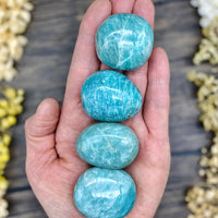 Amazonite Palm Stone Small