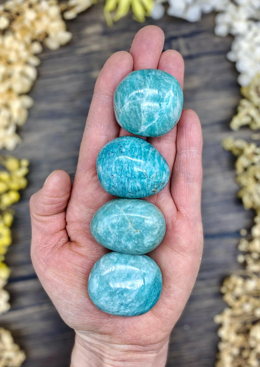 Amazonite Palm Stone Small