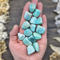 Amazonite Tumbled Stone