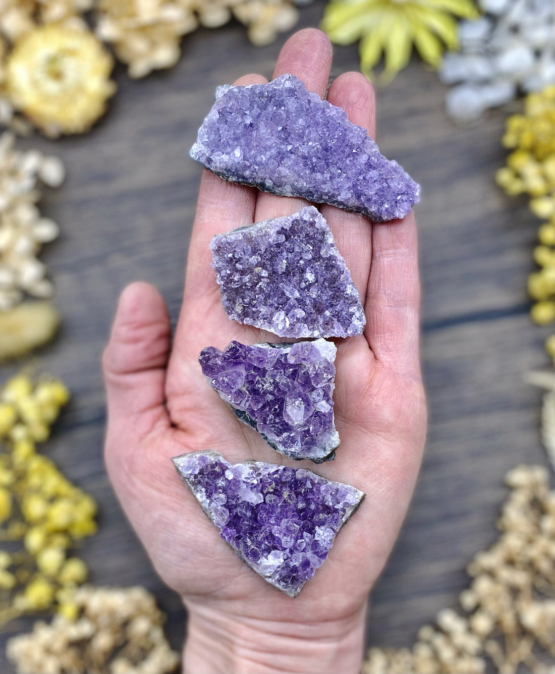 Amethyst Druzy Geode $10